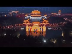 Traditional Chinese Festival Lantern 110/220V for New Year Theme Light Shows