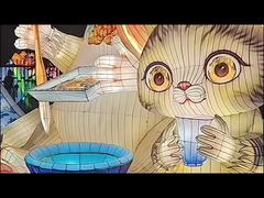 Cat Chinese Festival Lantern Decoration for Theme Park Light Exhibition