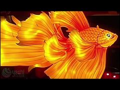 Colorful waterproof silk fabric fish lanterns for festive events and parties