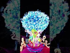 View Large Flower Fairy Traditional Festival Lantern Customizable for Theme Light Show Demo