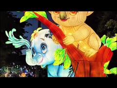 Chinese Traditional Festival Zodiac Chicken Lantern Outdoor Decoration New Year Animal Lanterns