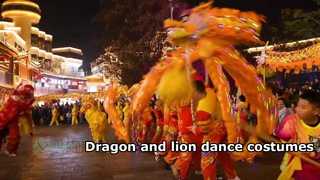 Traditional Chinese festival dragon and lion costume