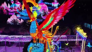 Giant Phoenix Zigong Festival Lantern Installation