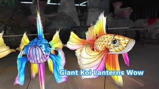 Giant Koi Lanterns for Stunning Events