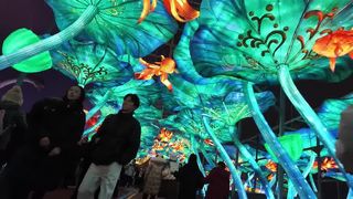 Giant Lotus Lanterns for Stunning Events