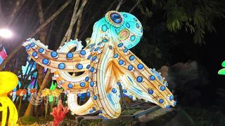 Giant Octopus Lantern Custom Event Sculpture for Parks
