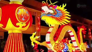 Traditional Chinese Festival Dragon Lantern