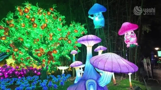 Colorful Mushroom Festival Lantern For Forest Night Show