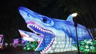 Giant Shark Tunnel Festival Lantern For Ocean Theme Light Show