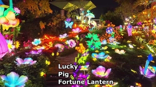 Lucky Pig Lantern Fortune Decor