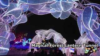 Enchanting Leaf Vein Lantern Tunnel